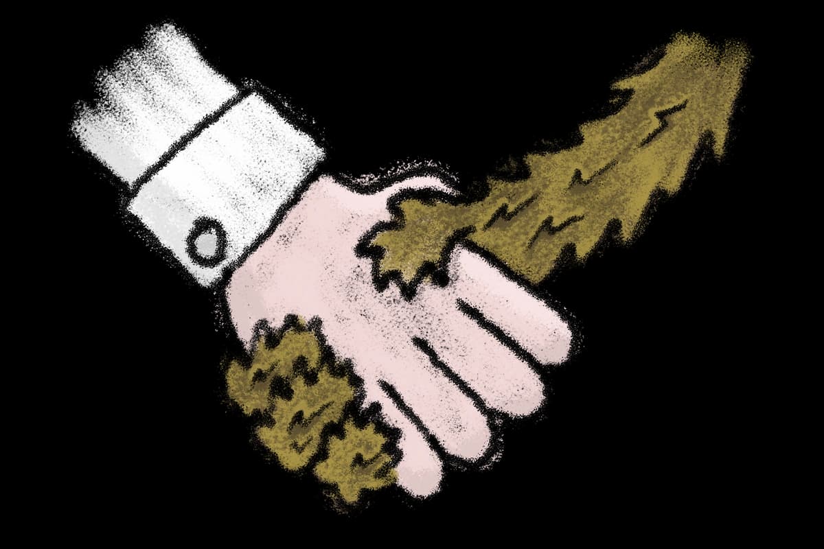 Igelkott som skakar hand